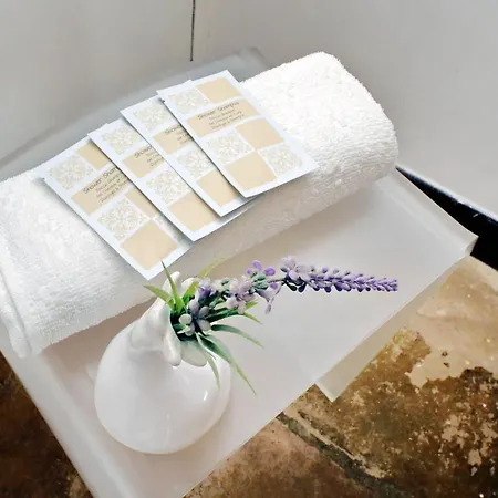 Super Attico Con Terrazza Lodi